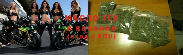 стаф Пересвет