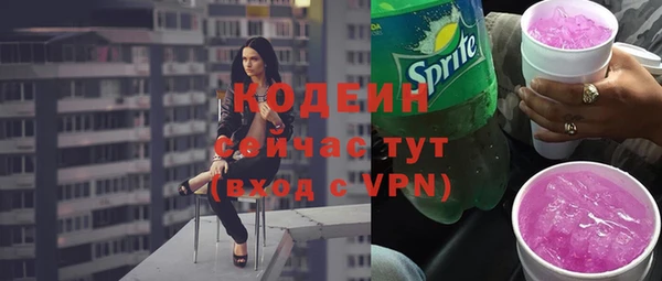 стаф Пересвет