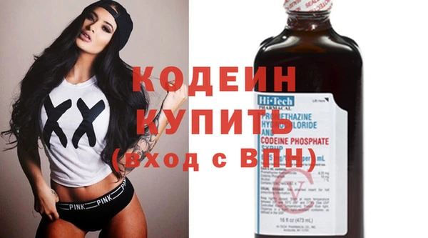 стаф Пересвет