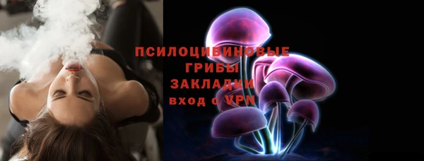 стаф Пересвет