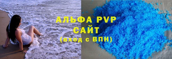 стаф Пересвет