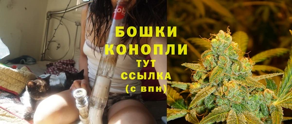 прущие крисы Переславль-Залесский