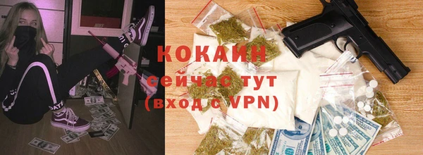 стаф Пересвет