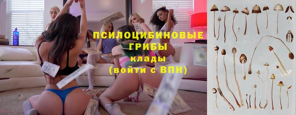 прущая мука Пестово